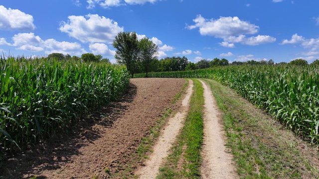 14096 Turben Ridge ROAD, Soldiers Grove, WI 54655