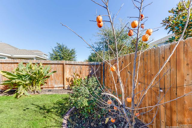 5230 Nature Path, Marion, TX 78124