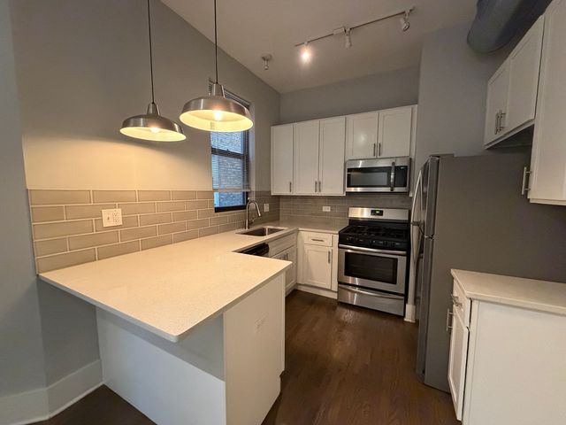 1722 W 21st Street 2F, Chicago, IL 60608