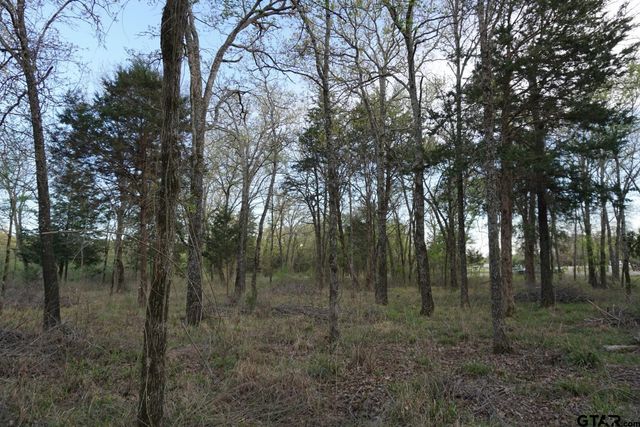 01 Private Rd 5401, Malakoff, TX 75148