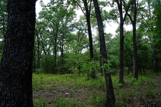 01 Private Rd 5401, Malakoff, TX 75148