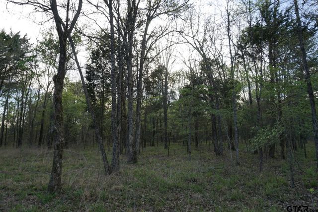 01 Private Rd 5401, Malakoff, TX 75148