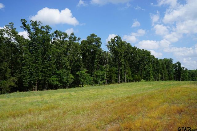 01 Private Rd 5401, Malakoff, TX 75148