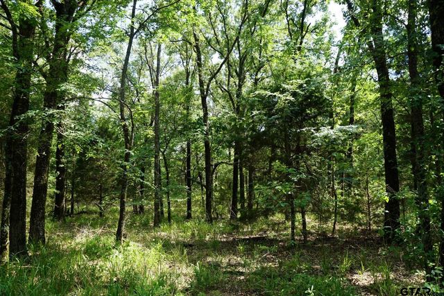 01 Private Rd 5401, Malakoff, TX 75148