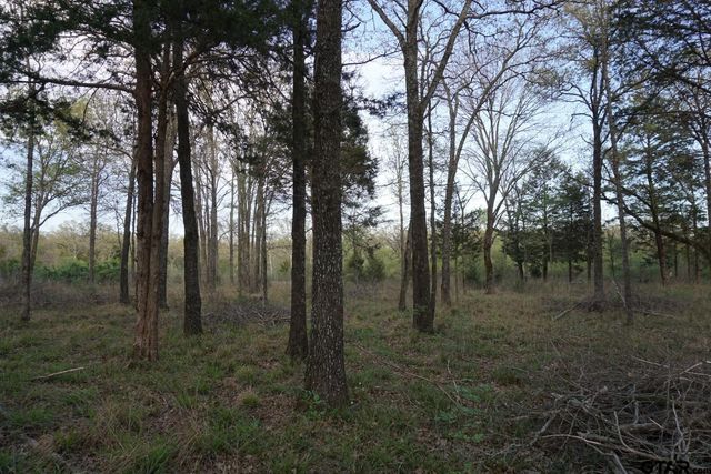 01 Private Rd 5401, Malakoff, TX 75148