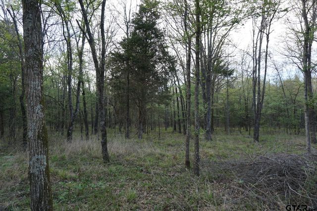 01 Private Rd 5401, Malakoff, TX 75148