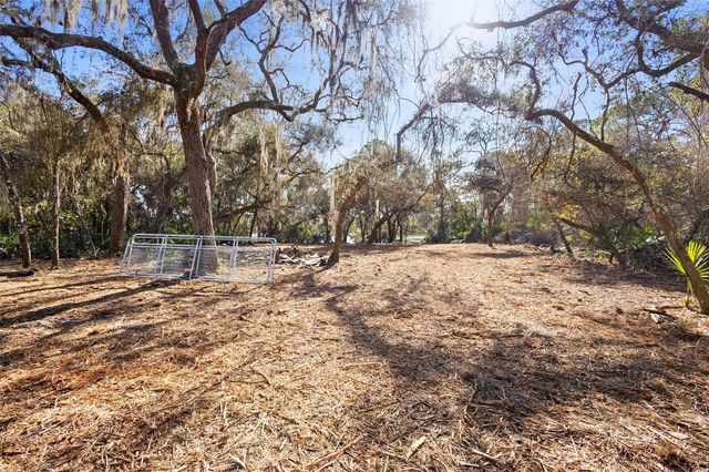 TBD SE 256TH AVENUE, Umatilla, FL 32784