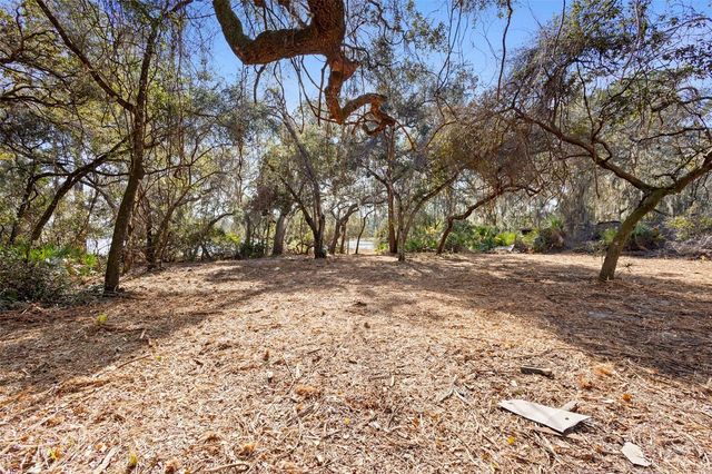 TBD SE 256TH AVENUE, Umatilla, FL 32784