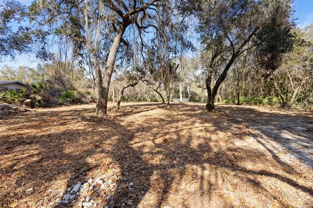 TBD SE 256TH AVENUE, Umatilla, FL 32784