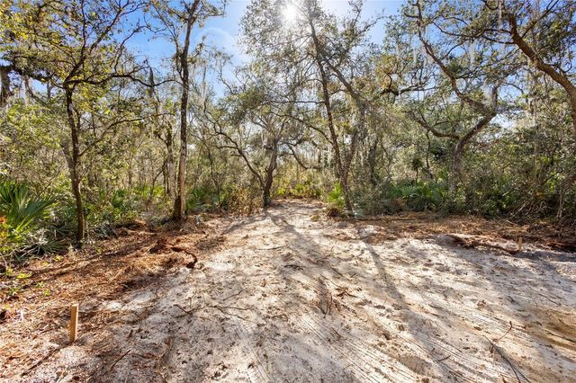 TBD SE 256TH AVENUE, Umatilla, FL 32784
