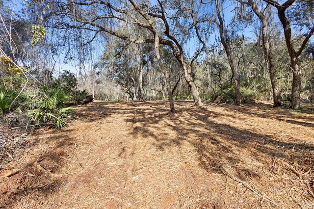 TBD SE 256TH AVENUE, Umatilla, FL 32784