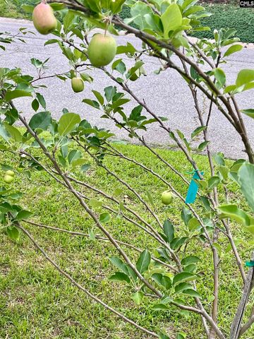 329 DEER RUN Road, Elgin, SC 29045