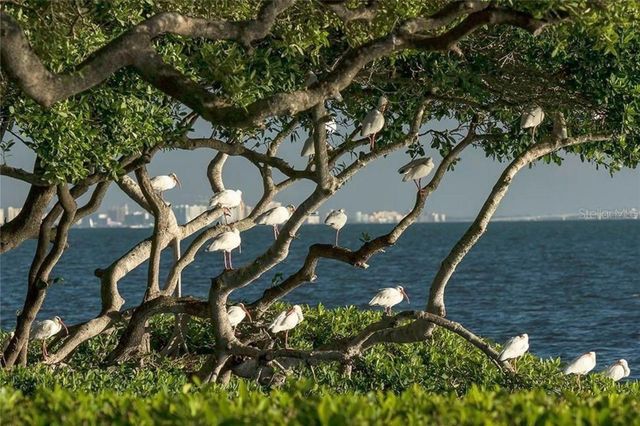 56 TIDY ISLAND BOULEVARD 56, Bradenton, FL 34210