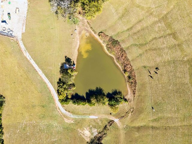 2846 Fuller Hollow Rd, Cornersville, TN 37047