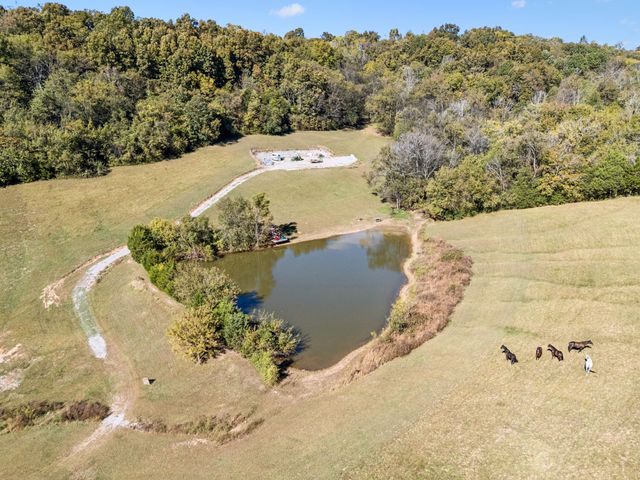 2846 Fuller Hollow Rd, Cornersville, TN 37047