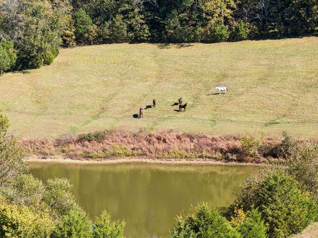 2846 Fuller Hollow Rd, Cornersville, TN 37047