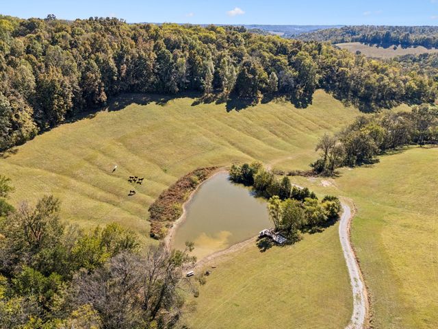 2846 Fuller Hollow Rd, Cornersville, TN 37047