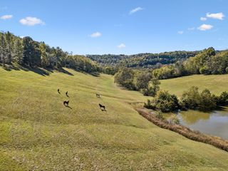 2846 Fuller Hollow Rd, Cornersville, TN 37047