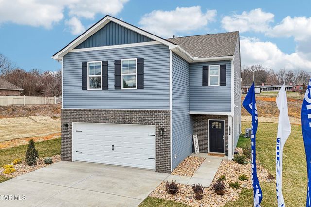 313 Alta Tree Blvd, Johnson City, TN 37604