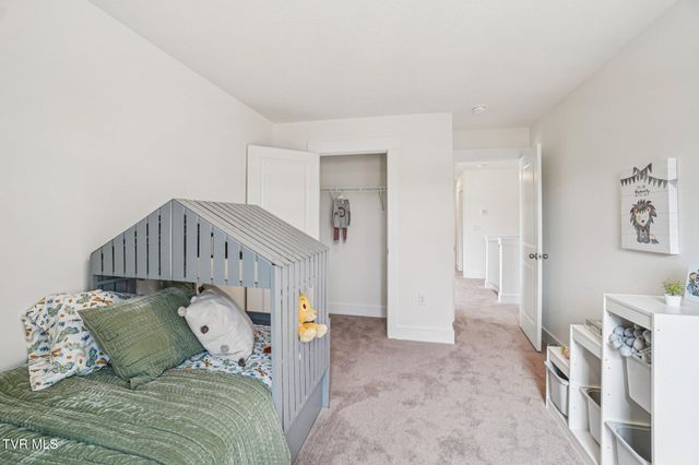 313 Alta Tree Blvd, Johnson City, TN 37604