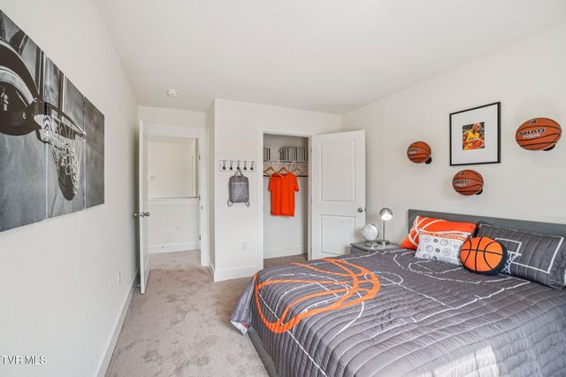 313 Alta Tree Blvd, Johnson City, TN 37604