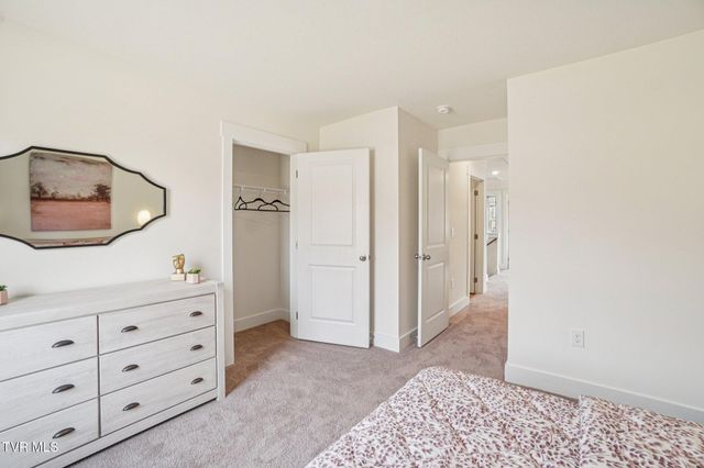 313 Alta Tree Blvd, Johnson City, TN 37604