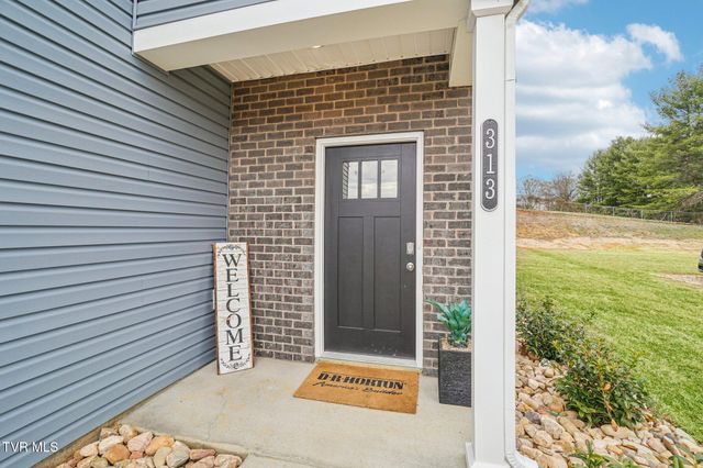 313 Alta Tree Blvd, Johnson City, TN 37604