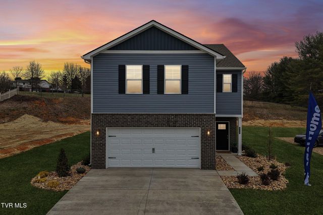 313 Alta Tree Blvd, Johnson City, TN 37604
