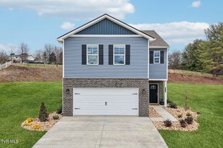 313 Alta Tree Blvd, Johnson City, TN 37604