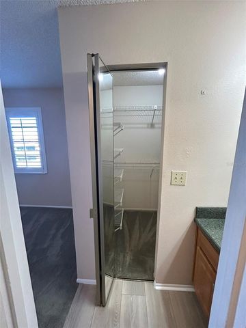 5411 BRITWELL COURT, Tampa, FL 33624