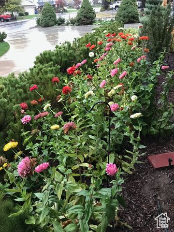 1085 E 1050 S, Spanish Fork, UT 84660