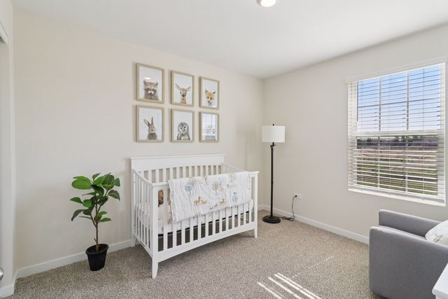 1721 Stable Lane, Aurora, IL 60503