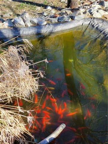 65922167 Unincorporated Parcel, Needles, CA 92363