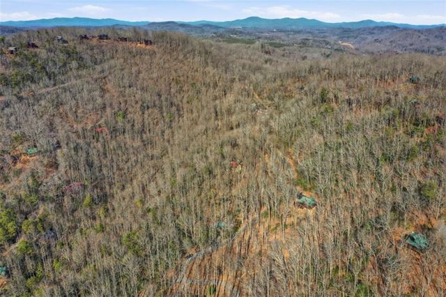 266 Chimney Rock Road, Cherry Log, GA 30522