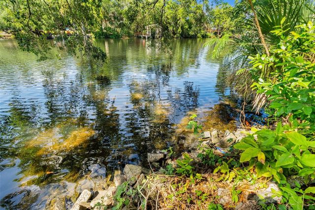 323 W HANLON STREET, Tampa, FL 33604