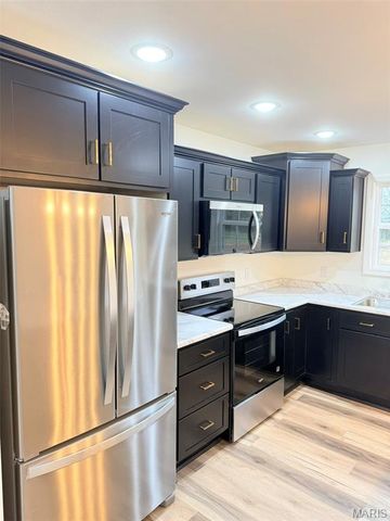 20 Aldean Lane, Benton, MO 63736