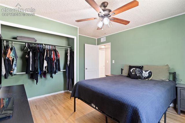 536 Warren Avenue, Colorado Springs, CO 80905