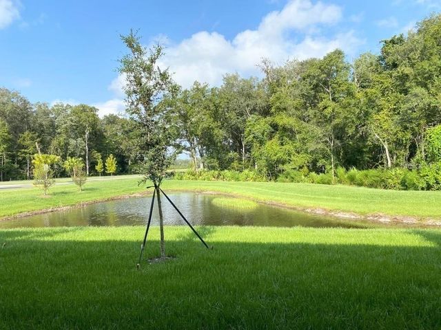 17478 NECTAR FLUME DRIVE, Land O Lakes, FL 34638