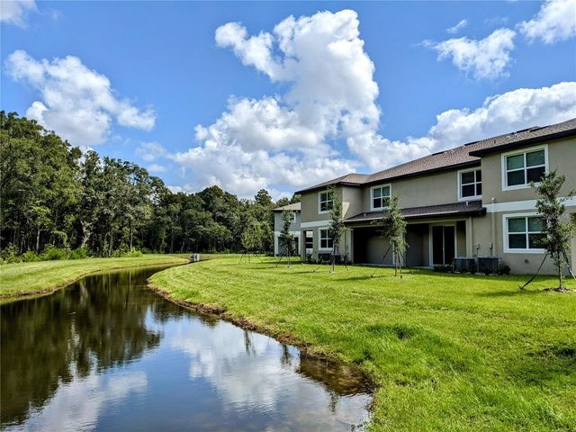 17478 NECTAR FLUME DRIVE, Land O Lakes, FL 34638