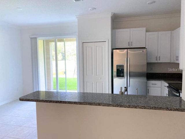 17478 NECTAR FLUME DRIVE, Land O Lakes, FL 34638