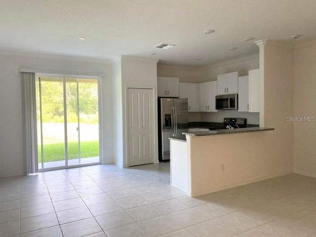 17478 NECTAR FLUME DRIVE, Land O Lakes, FL 34638
