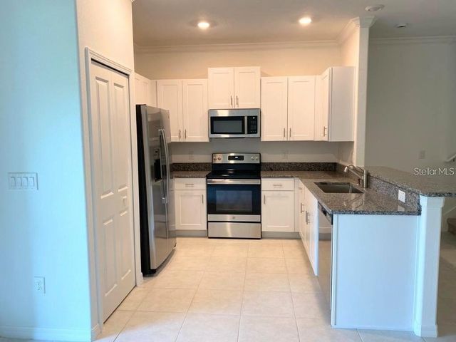 17478 NECTAR FLUME DRIVE, Land O Lakes, FL 34638