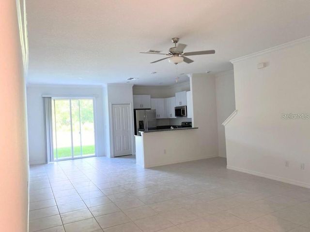 17478 NECTAR FLUME DRIVE, Land O Lakes, FL 34638