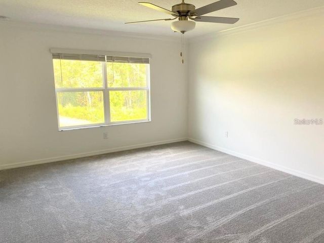 17478 NECTAR FLUME DRIVE, Land O Lakes, FL 34638