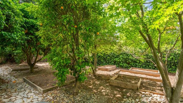 16255 Short Road, Los Gatos, CA 95032