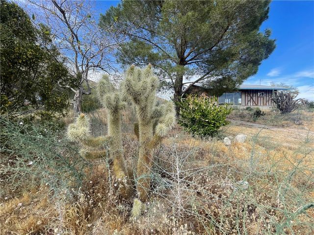 50310 Ash, Morongo Valley, CA 92256