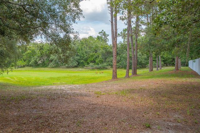 361 LAKE LENELLE DRIVE, Chuluota, FL 32766