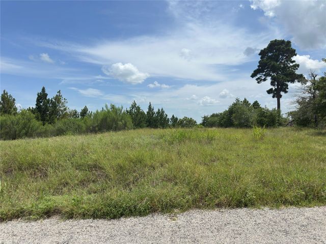 141 Tall Forest DR, Bastrop, TX 78602