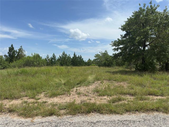 141 Tall Forest DR, Bastrop, TX 78602