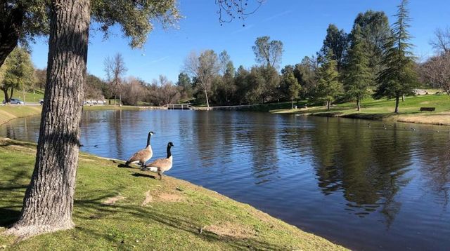 30159 Horseshoe Drive, Coarsegold, CA 93614